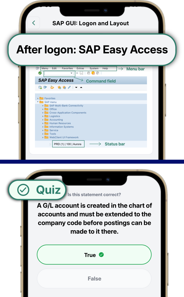 SAP lesson with SAP GUI theory and quiz question in the ERP Coach app